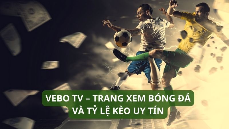 Vebo – Cổng thông tin soikeo chuyên nghiệp cho cược thủ