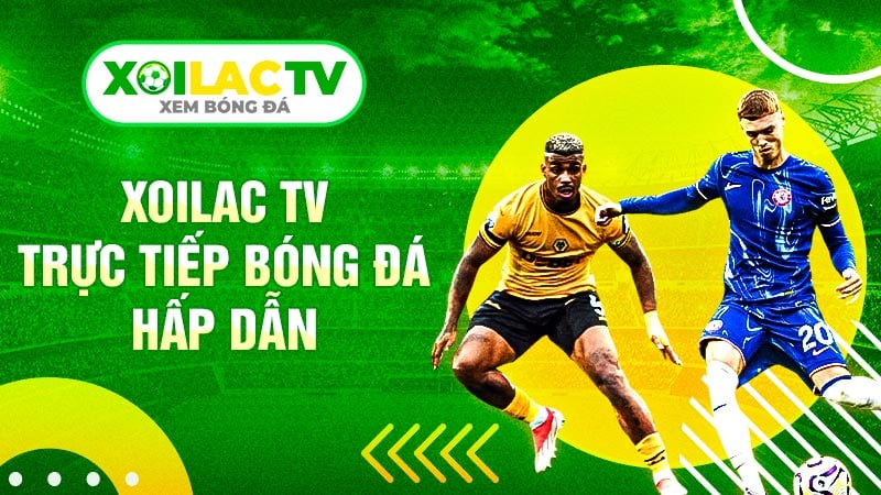Xoilacvn – Nơi mang đến trải nghiệm xem bóng đá đỉnh cao cho fan thể thao vua tại Việt Nam