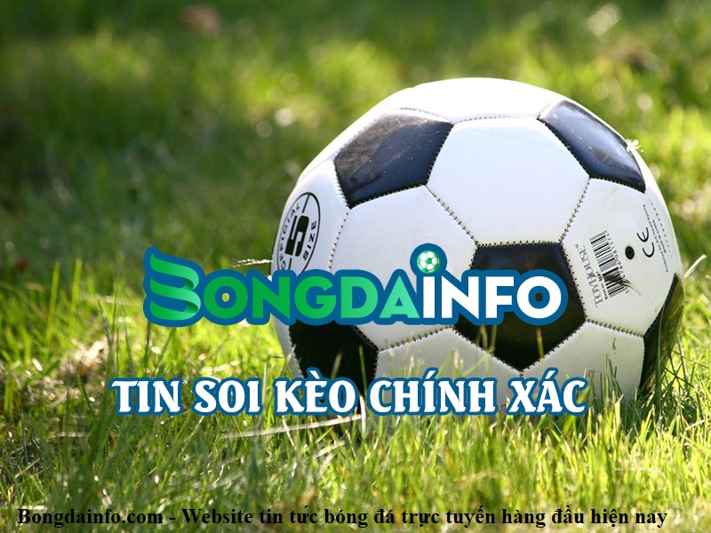 Tôi đã thử soi kèo trên Bongda Info suốt 1 tháng và đây là kết quả