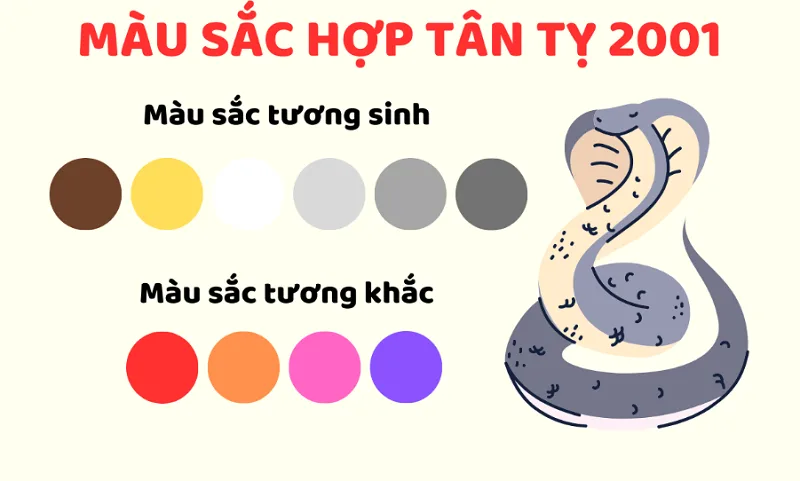 Nam 2001 hợp màu gì?